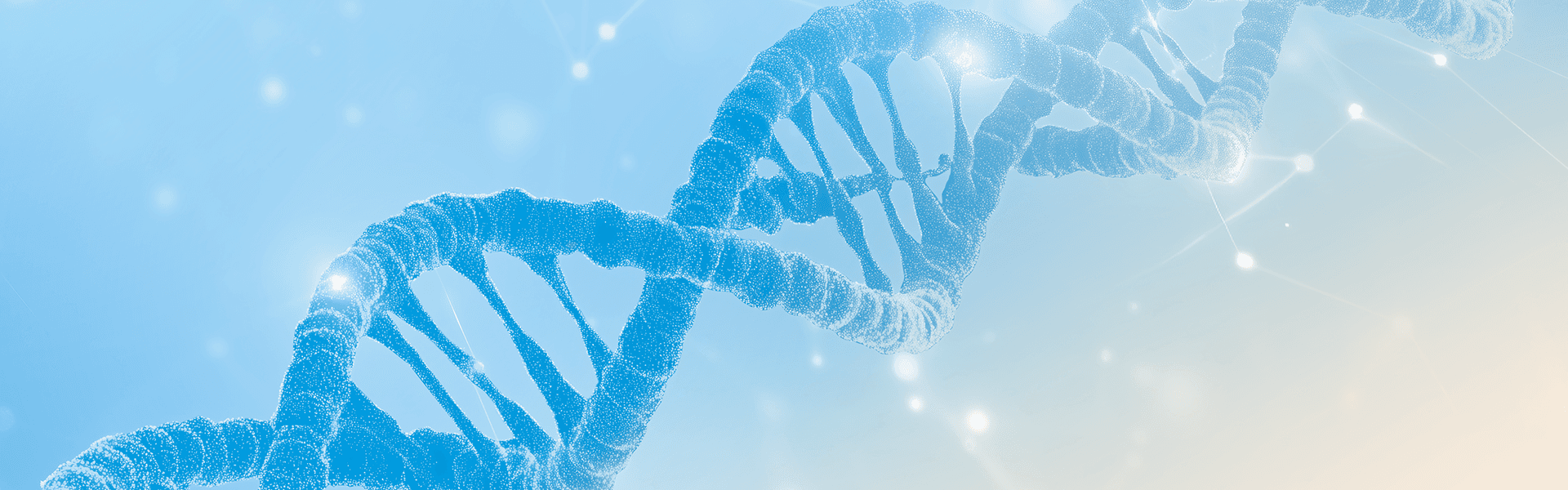 제대줄기세포란?